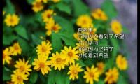 小学生心灵感悟的句子