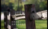 鼓励小学生努力上进的句子一句话