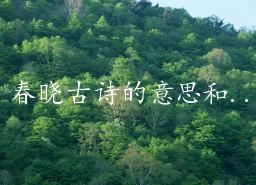 春晓古诗的意思和翻译(春晓的意思全解)