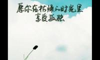 每日一善文案正能量