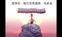 自信阳光简短的句子