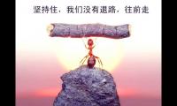 压力下的情绪管理的经典语录