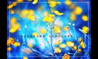 2021抖音最火的文案励志