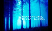 催人上进励志奋发的句子或毒鸡汤