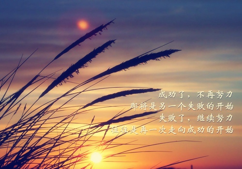 豉励一年级小学生的话