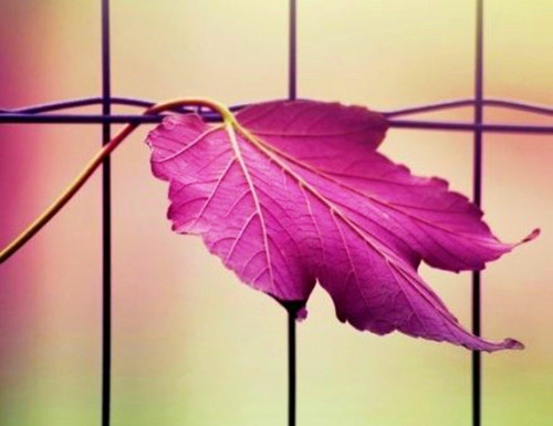 女孩子一个人奋斗励志说说