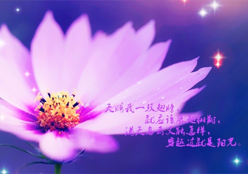 比较励志又唯美的句子