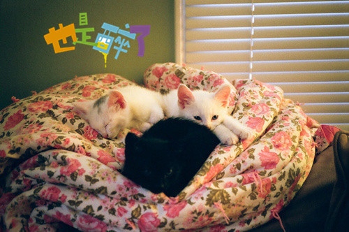 朋友圈晚安说说致自己一句话