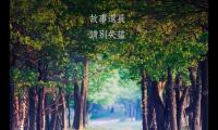 早安一句话唯美句子