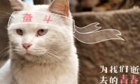 睡前发在朋友圈的短语正能量