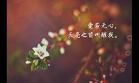 适合早上发朋友圈的句子正能量的简短