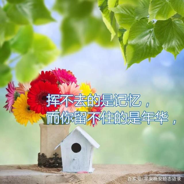 人生最现实的句子(人生最现实的句子案牍)