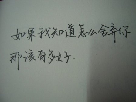 万能表白的句子