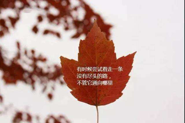 关于哲理的一段话(关于哲理的语段)