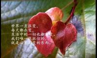 关于哲理的句子简短(哲理句子唯美简短精辟)大全