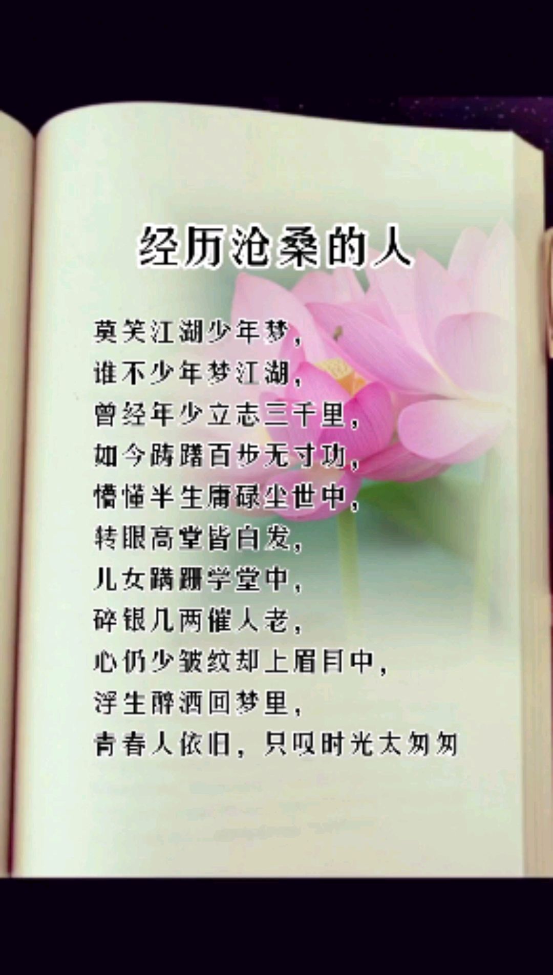 人生感悟句子(合适发伴侣圈的人生感悟句子)