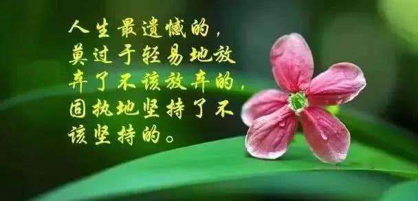 人生哲理图(人生哲理图片带字)