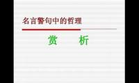 关于哲理的语段文档(哲理句子文段)大全