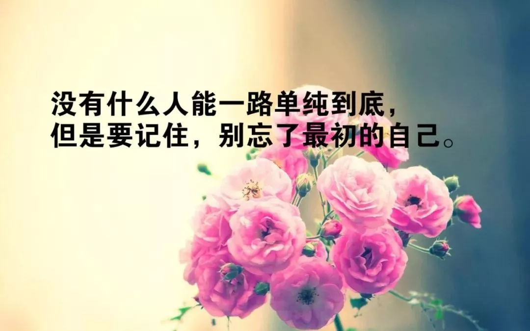 很有人生哲理的唯美句子?(关于人生有哲理的句子)