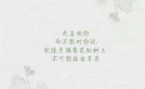 关于暗恋的句子合集(暗恋的典范句子) 关于暗恋的句子合集(暗恋的典范句子)