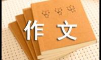 关于寒假有趣的作文300字三篇