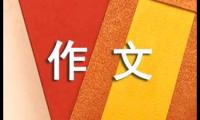关于尝试的作文300字四篇