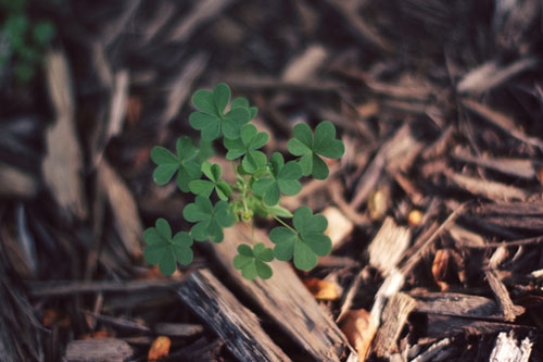 2022天津疫情加油正能量语录 2022天津疫情加油正能量语录