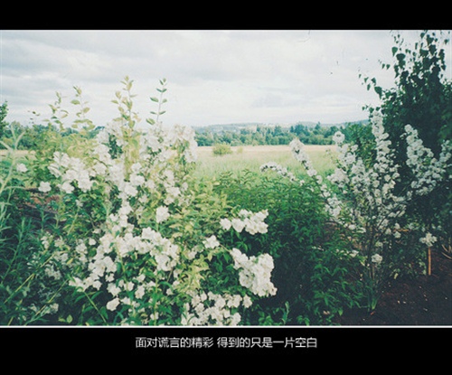 晚安的话语最能打动人心的话语