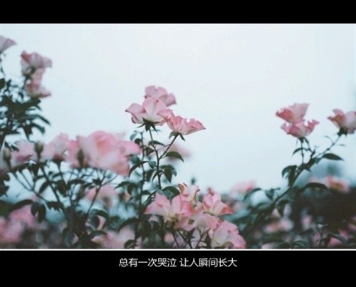 哭多了眼泪不值钱说说 关于眼泪的说说
