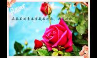 外表坚强内心脆弱的说说