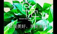 早上起床正能量的说说(起床正能量早安说说)