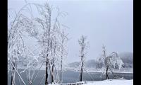 关于下雪时我们心情愉快的句子