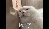 感觉自己活得窝囊说说(形容自己很没用的说说)