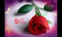 婚礼致爱情的经典语录致词