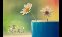 小仙女发的超仙的句子