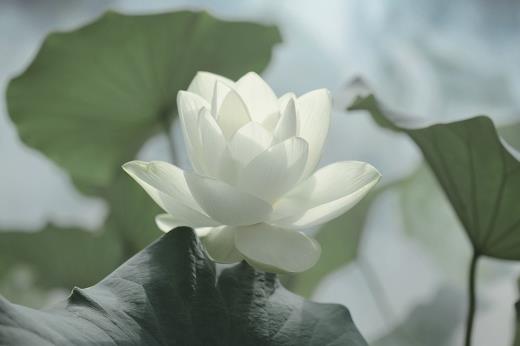形容一个人高兴的句子