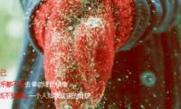 关于正能量分享的简短句子(工作早会分享正能量句子)精选