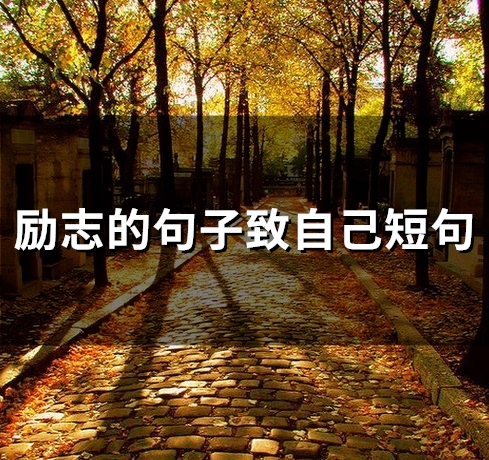 励志的句子致自己短句(55句)