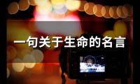 关于一句关于生命的名言(43个)大全