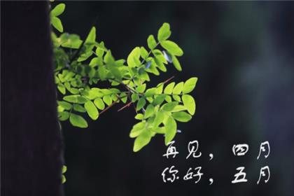 抖音心灵鸡汤经典语录