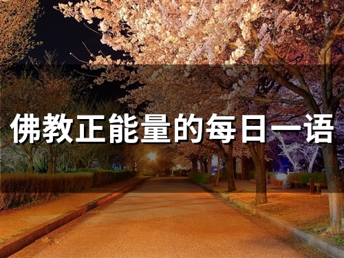 佛教正能量的每日一语(精选67句)