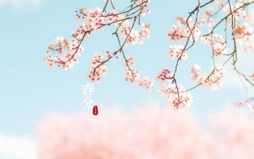 苍耳子泡水喝治鼻炎
