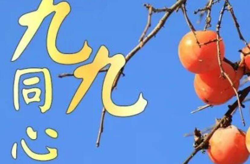 大年初九祝福语 大年初九祝福语简短【经典33句】