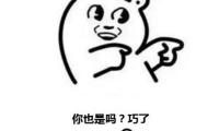 关于形容一句话说的很有道理(形容话说的有道理有深度 有些心酸)精选