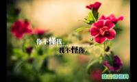 关于胃疼难受的心情说说
