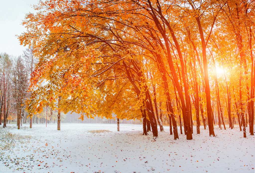 冬日暖阳，岁月静好，孟冬十月，邂逅诗词里的暖