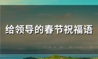 给领导的春节祝福语(精选53句)