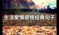 生活爱情感悟经典句子(有关感情走心的句子)