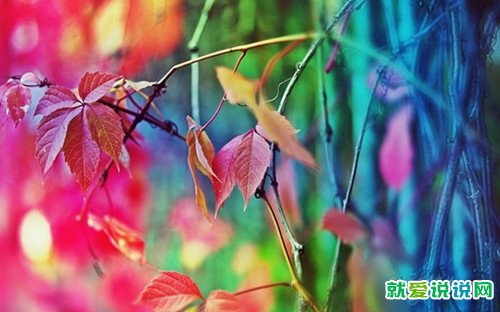 陪伴家人的幸福感悟短句