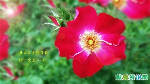 喝酒感慨人生的句子说说心情 